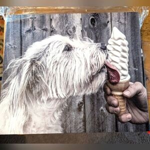 NWOT Framed Vinyl Drawing Picture